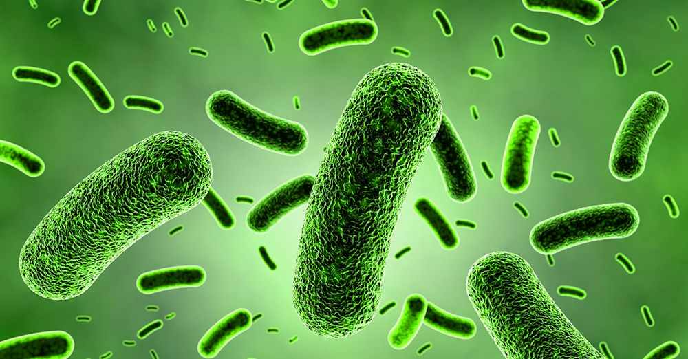 Testovi za antibakterijsku efikasnost