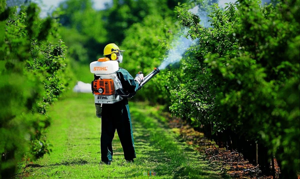 IEC/EN 60335-2-59 Böcek Öldürücüler